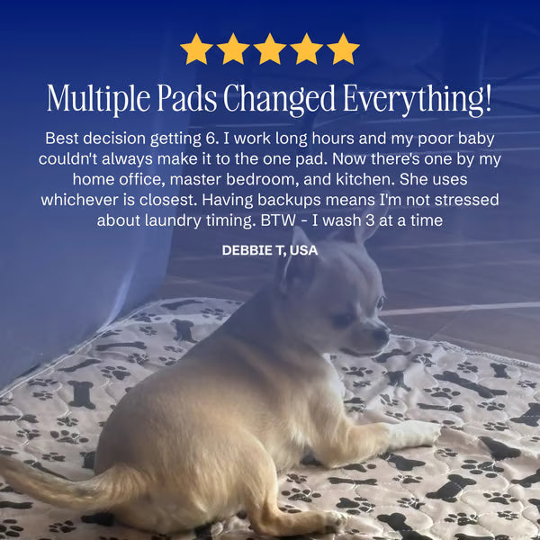 🐶😸Premium Reusable Super Absorbent PuppyPad🐾 (Kitten & Other Pets)