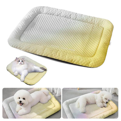 ⏳LAST DAY SALE ❄️Pawchill™🇬🇧Pet Cooling Mat for Dogs & Cats 🐾  Naturally Cool Ice-Silk Pad • Breathable, Washable & Soft 🌿  For Floors, Sofas & Car Travel • Multiple Sizes • Gradient Colours ☀️🐶🐱