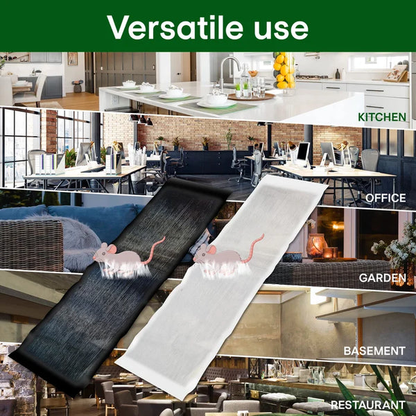 🔥 Muizenval – Hygiënisch & Effectief Ongedierte Bestrijden | Zonder Aanraken – Koop 1, Krijg 1 Gratis