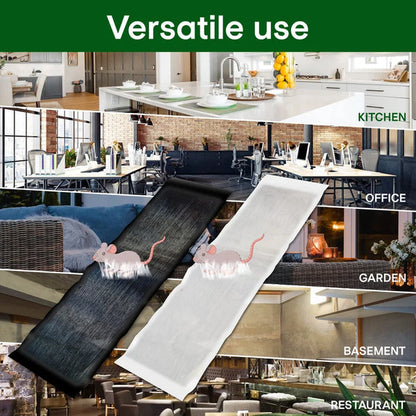 🔥 Muizenval – Hygiënisch & Effectief Ongedierte Bestrijden | Zonder Aanraken – Koop 1, Krijg 1 Gratis