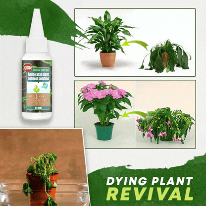 🔥Koop 1 en krijg 1 gratis (2 stuks)🔥Plantenvoedingsoplossing
