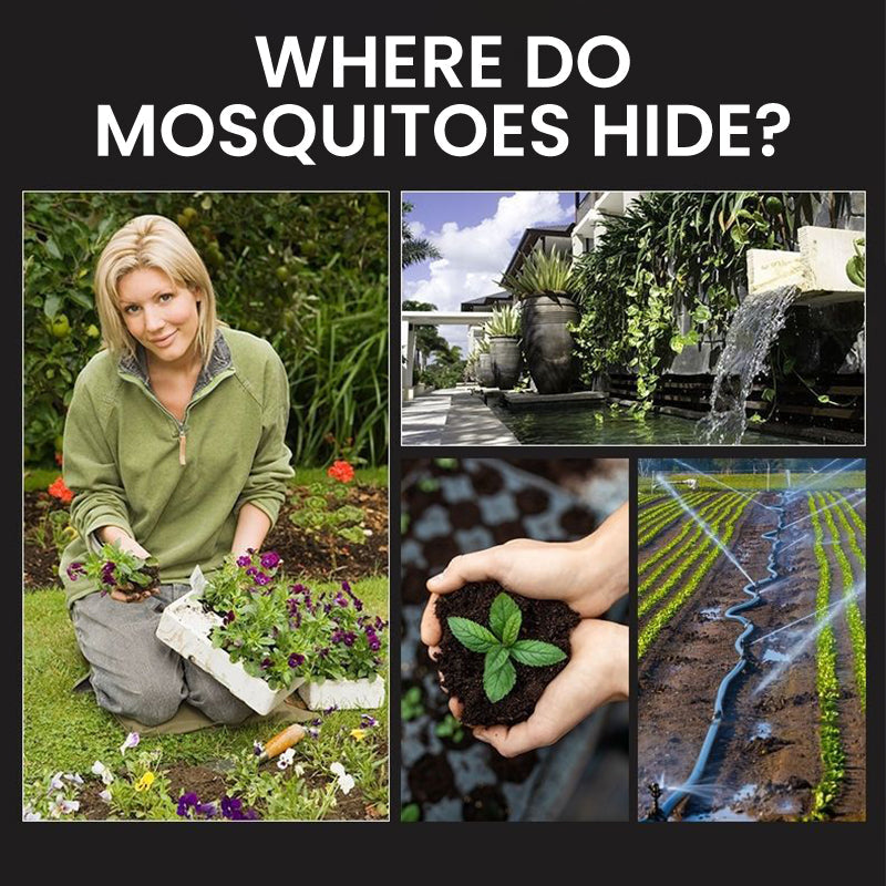 🥳2026 HOT SALE🥳💞50K+ SOLD!⏰🦟 50% OFF! Solar Mosquito Zapper Lamp Stake – Auto on/off, dual power, waterproof. Keeps garden pest‑free. 🌙🛡️
