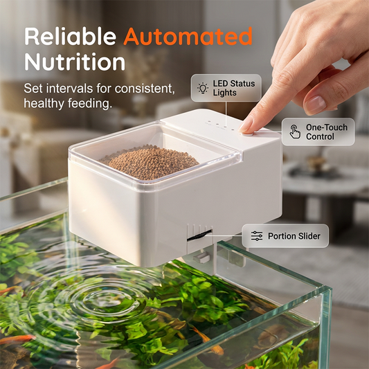 π΄β‘οΈπ Auto Fish Feeder β Built-in Timer, Perfect for Busy Owners | Up to 30 Days ποΈ
